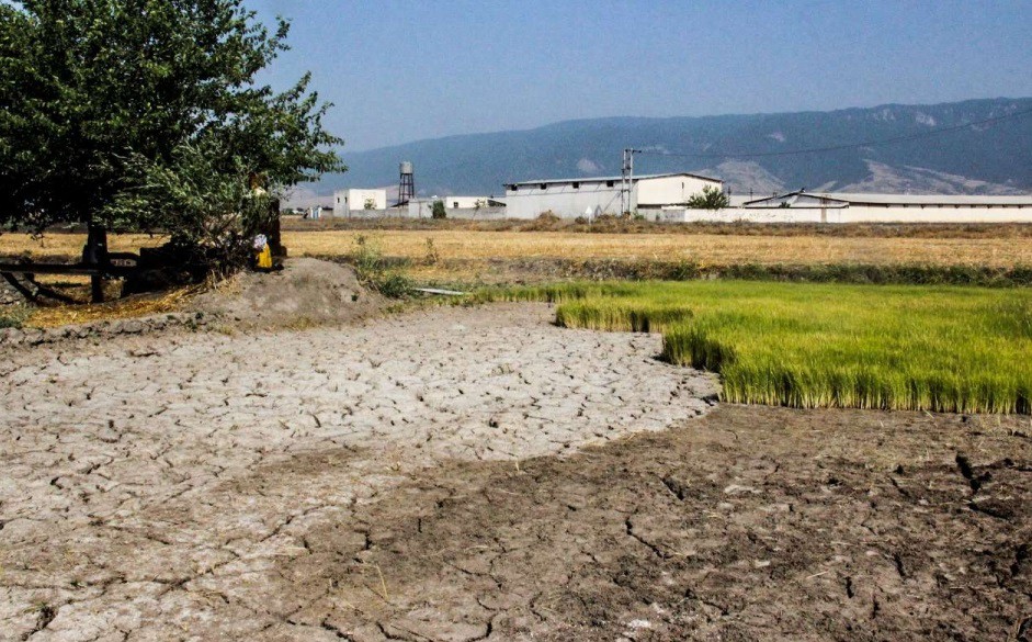 گردونه بحران های گلستان بر روی خشکسالی ایستاد/ مسئولان برای کمبود منابع آبی چه برنامه ای دارند؟