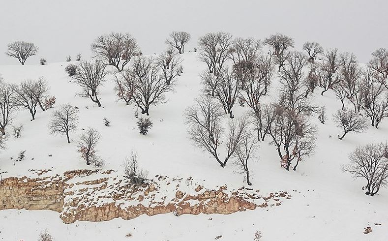 پیش‌بینی بارش ۴۰ سانتی‌متر برف در استان گلستان/ مردم از سفرهای غیرضروری خودداری کنند