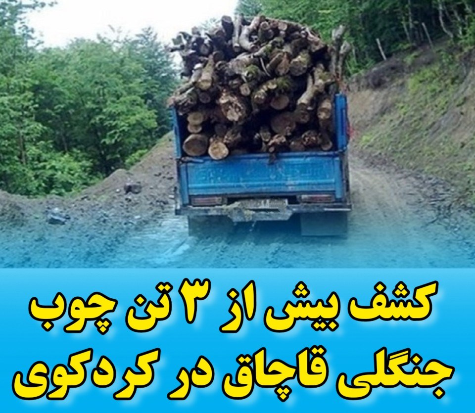 کشف بیش از ۳ تن چوب جنگلی قاچاق در کردکوی