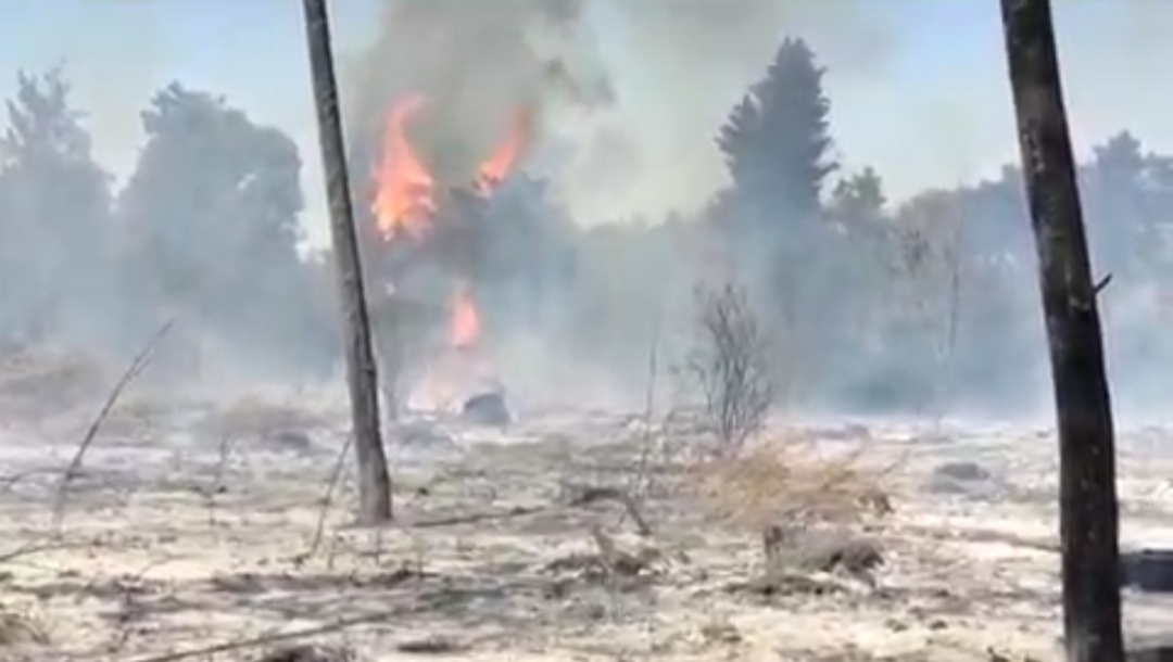 آتش سوزی گسترده در جنگل چهارکوه